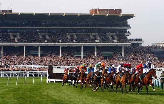 Cheltenham Festival fact file
